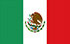 墨西哥TGM快速國家小組研究服務